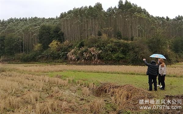 衡阳市陈老师带着爱徒寻龙点穴